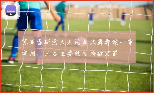苏亚雷斯意大利语考试舞弊案一审宣判，三名主要被告均被定罪