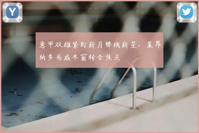意甲双雄紧盯新月锋线新星,莱昂纳多或成冬窗转会焦点