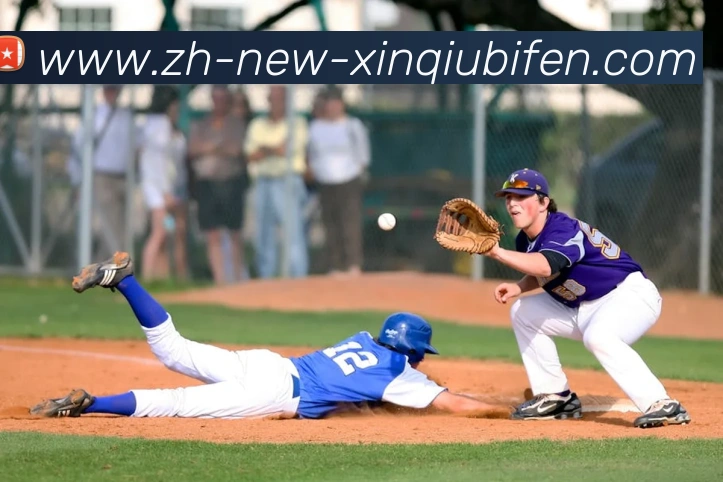 新球体育比分网服务体系